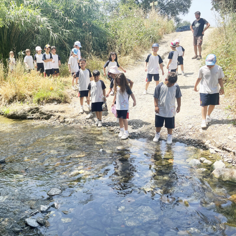 Còpia de IMG_7481